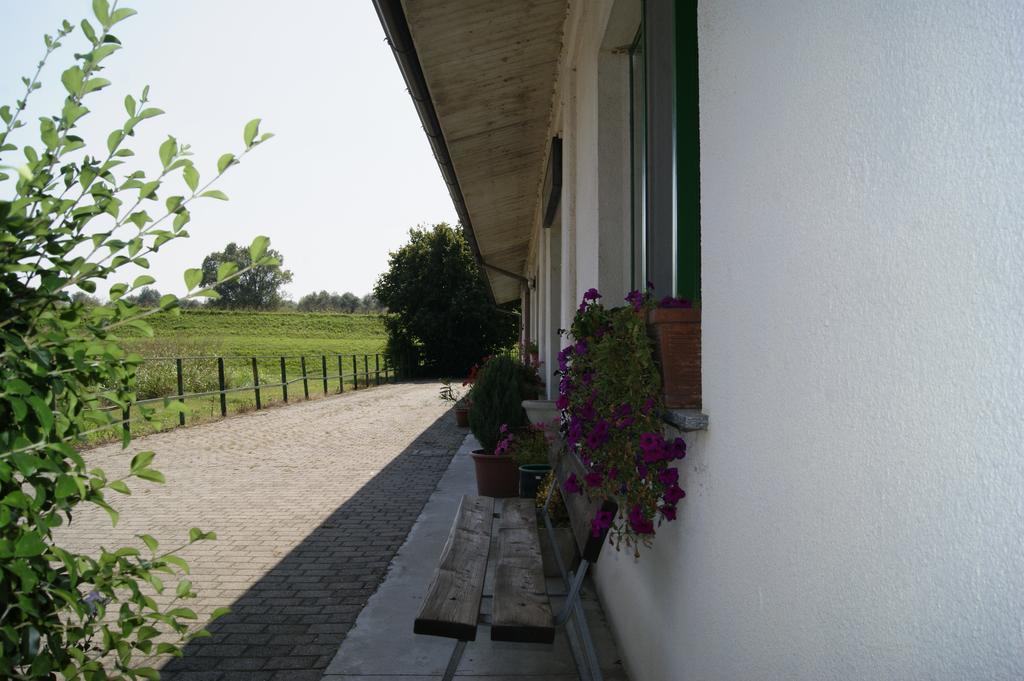 Вилла Agriturismo La Valbona San Martino Siccomario Экстерьер фото
